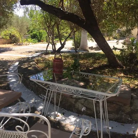 αγρόκτημα χελωναριά - Agroktima Chelonaria Hostel