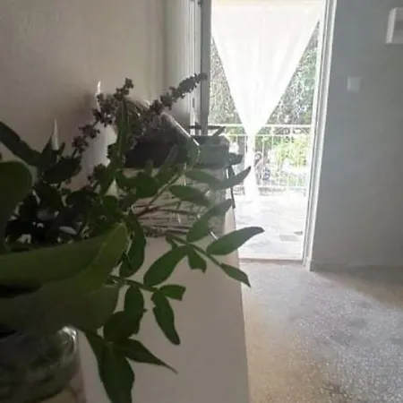 αγρόκτημα χελωναριά - Agroktima Chelonaria Hostel Chrani