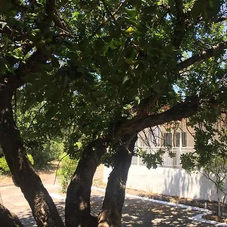 αγρόκτημα χελωναριά - Agroktima Chelonaria Chrani