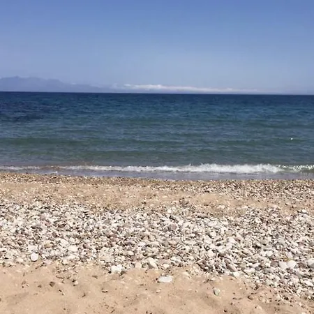 Hostel αγρόκτημα χελωναριά - Agroktima Chelonaria