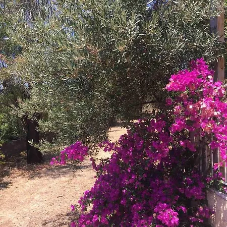 Hostel αγρόκτημα χελωναριά - Agroktima Chelonaria *