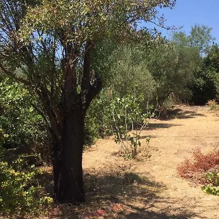 αγρόκτημα χελωναριά - Agroktima Chelonaria Hostel